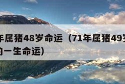 71年属猪48岁命运（71年属猪49岁以后的一生命运）