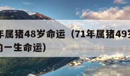 71年属猪48岁命运（71年属猪49岁以后的一生命运）