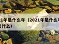 2021年是什么年（2021年是什么年五行属什么）