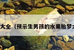 胎梦大全（预示生男孩的水果胎梦大全）