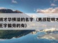 男孩聪明才华横溢的名字（男孩聪明才华横溢的名字王字偏旁的有）