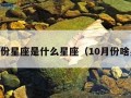 10月份星座是什么星座（10月份啥星座）