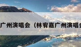 林宥嘉广州演唱会（林宥嘉广州演唱会歌单）