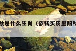 皮里阳秋是什么生肖（欲钱买皮里阳秋是什么生肖）