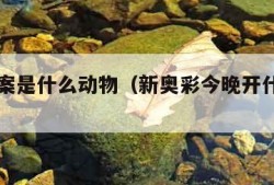 正确答案是什么动物（新奥彩今晚开什么生肖）