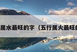 五行属水最旺的字（五行属火最旺的字）