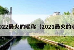 2022最火的昵称（2021最火的昵）