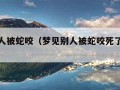 梦见别人被蛇咬（梦见别人被蛇咬死了是什么征兆）