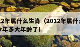 2012年属什么生肖（2012年属什么生肖今年多大年龄了）