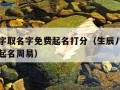 生辰八字取名字免费起名打分（生辰八字取名字免费起名周易）