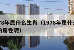 1978年属什么生肖（1978年属什么生肖的属性呢）