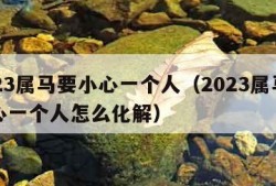 2023属马要小心一个人（2023属马要小心一个人怎么化解）