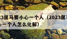 2023属马要小心一个人（2023属马要小心一个人怎么化解）