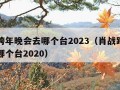 肖战跨年晚会去哪个台2023（肖战跨年晚会去哪个台2020）