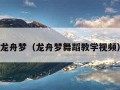 龙舟梦（龙舟梦舞蹈教学视频）