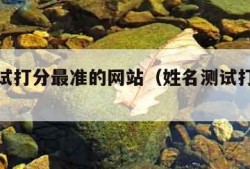 姓名测试打分最准的网站（姓名测试打分网排名）