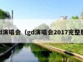 gd演唱会（gd演唱会2017完整版）