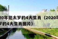 2020年犯太岁的4大生肖（2020年犯太岁的4大生肖图片）