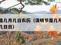 清明节是几月几日农历（清明节是几月几日农历几月几日日）