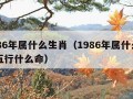 1986年属什么生肖（1986年属什么生肖五行什么命）