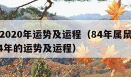 属鼠2020年运势及运程（84年属鼠的人2024年的运势及运程）