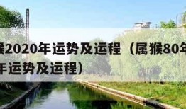 属猴2020年运势及运程（属猴80年2024年运势及运程）