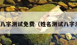 姓名八字测试免费（姓名测试八字测试）