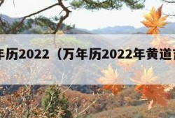 万年历2022（万年历2022年黄道吉日）