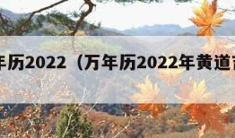 万年历2022（万年历2022年黄道吉日）