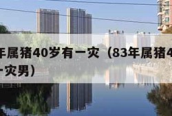 83年属猪40岁有一灾（83年属猪40岁有一灾男）