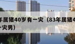 83年属猪40岁有一灾（83年属猪40岁有一灾男）