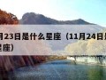 11月23日是什么星座（11月24日是什么星座）