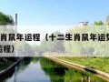 12生肖鼠年运程（十二生肖鼠年运势2021年运程）