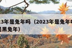 2023年是兔年吗（2023年是兔年吗什么是黑兔年）