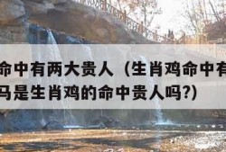 生肖鸡命中有两大贵人（生肖鸡命中有两大贵人生肖马是生肖鸡的命中贵人吗?）