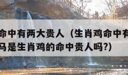 生肖鸡命中有两大贵人（生肖鸡命中有两大贵人生肖马是生肖鸡的命中贵人吗?）