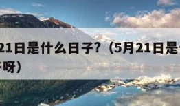 5月21日是什么日子?（5月21日是什么日子呀）