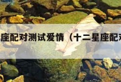 十二星座配对测试爱情（十二星座配对 测试爱情）