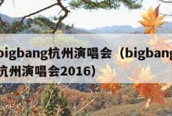 bigbang杭州演唱会（bigbang杭州演唱会2016）