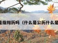 农历是指阳历吗（什么是公历什么是农历）