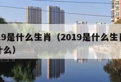 2019是什么生肖（2019是什么生肖是属什么）