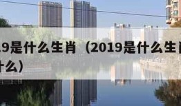 2019是什么生肖（2019是什么生肖是属什么）