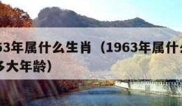 1963年属什么生肖（1963年属什么生肖多大年龄）