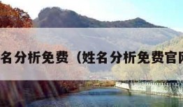 姓名分析免费（姓名分析免费官网）