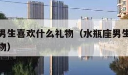 水瓶座男生喜欢什么礼物（水瓶座男生会喜欢什么礼物）