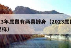 2023年属鼠有两喜缠身（2023属鼠命运怎样）