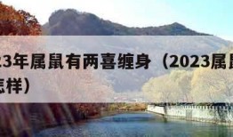 2023年属鼠有两喜缠身（2023属鼠命运怎样）