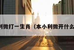 本小利微打一生肖（本小利微开什么生肖）