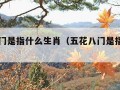 五花八门是指什么生肖（五花八门是指什么生肖动）