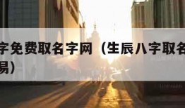 生辰八字免费取名字网（生辰八字取名字免费起名周易）